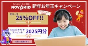 Novakid(ノバキッド)セール
